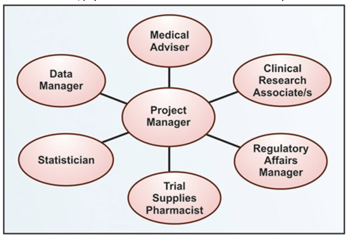 Figure no. 1: clinical trial team flowchart.