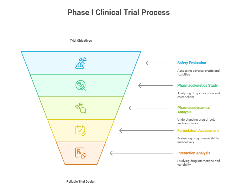 Phase I Clinical Trials Explained Objectives Risks Process