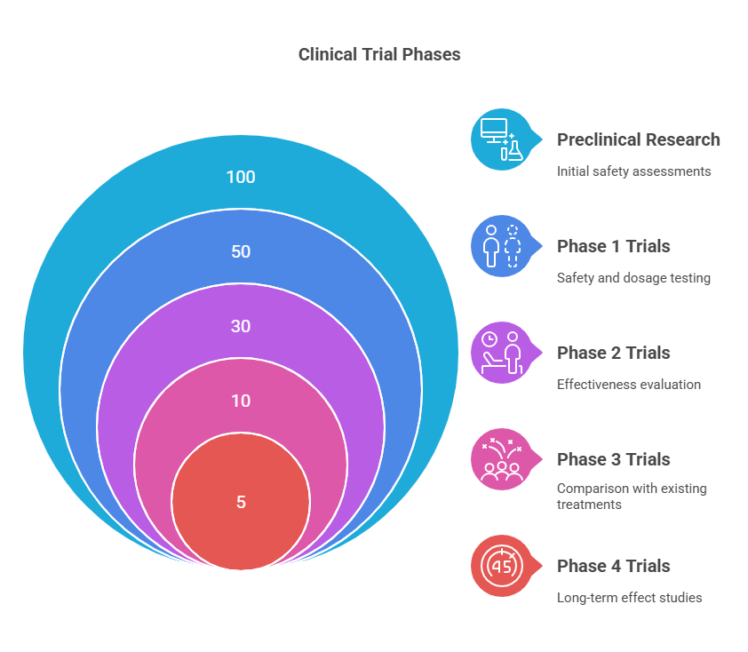 Concentric circles graphic showing clinical trial phases with participant numbers and descriptions..