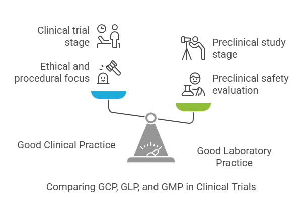 Key Differences Between GCP and Other Clinical Trainings