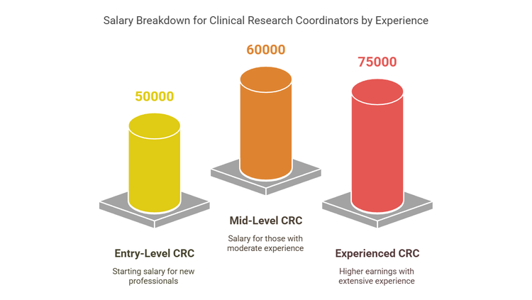 Illustration of Clinical Research Coordinator Salary