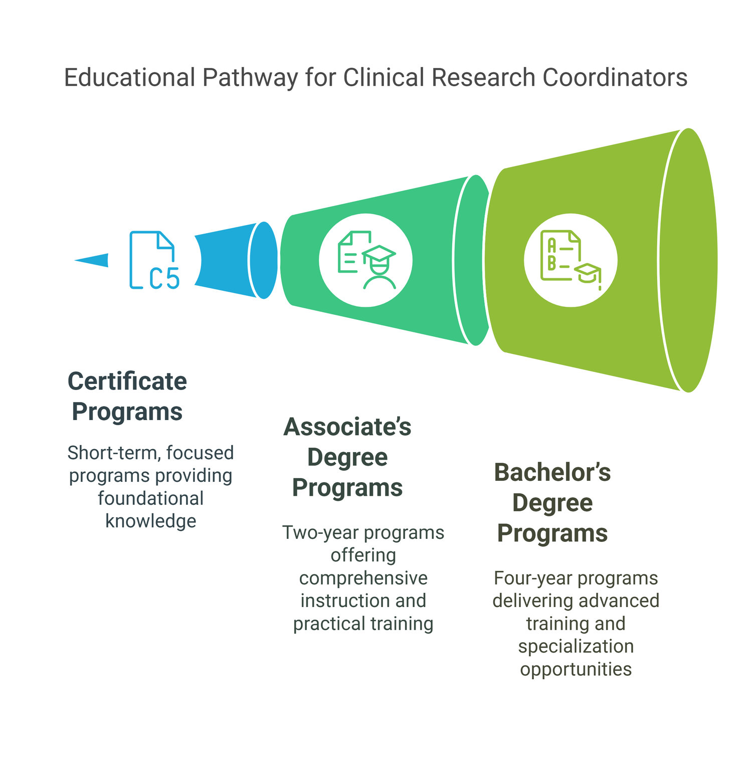 Illustration of Clinical Research Coordinator Certification