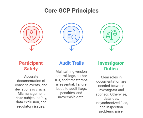 Core GCP Principles Affecting Clinical Trial Documentation