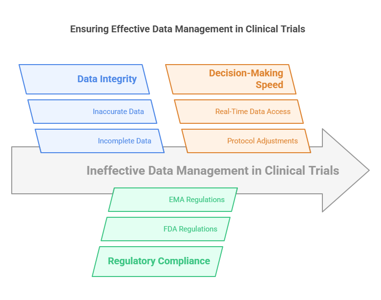 How Clinical Trials and Data Management Impact Research