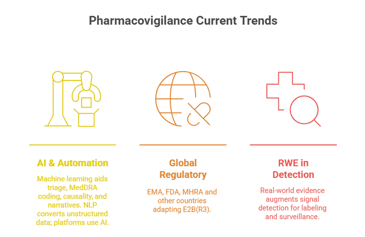 Pharmacovigilance Case Processing: Definitive Expert Guide