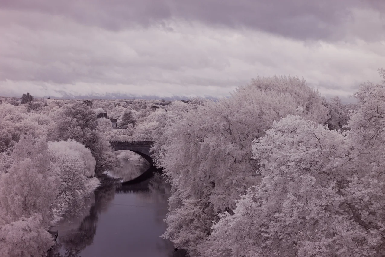 Wintertide
