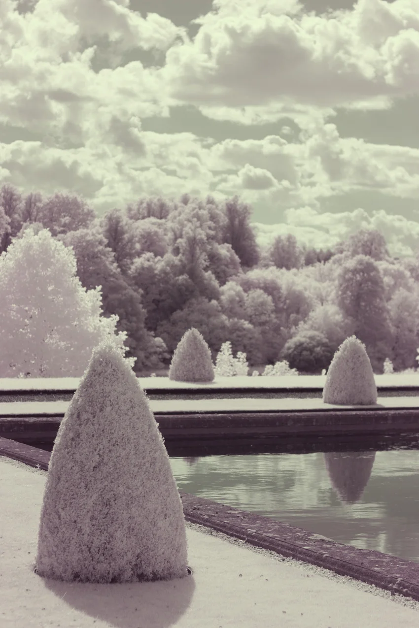 Topiary