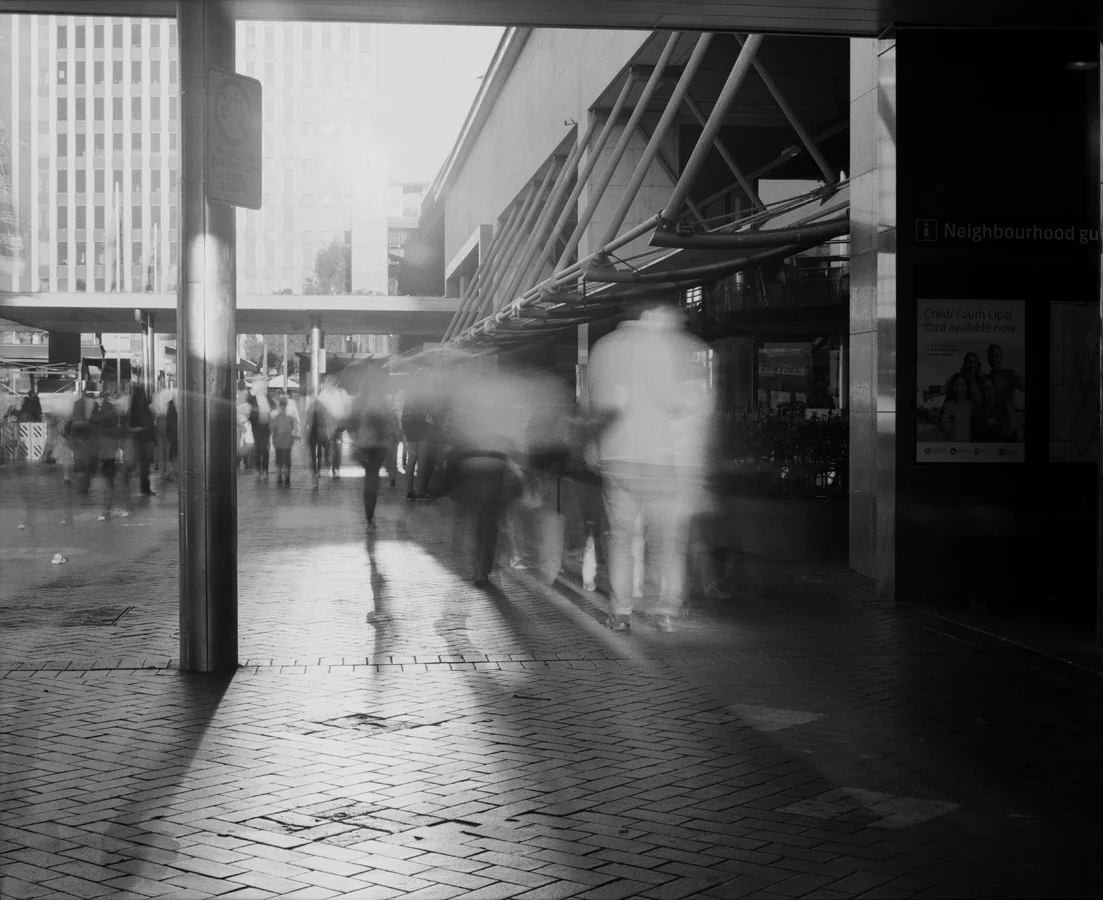 Transience #7