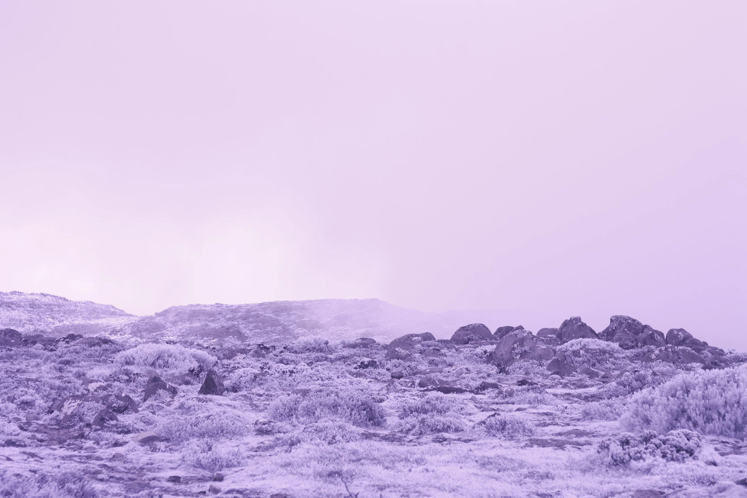 Cut A Silver Path #2