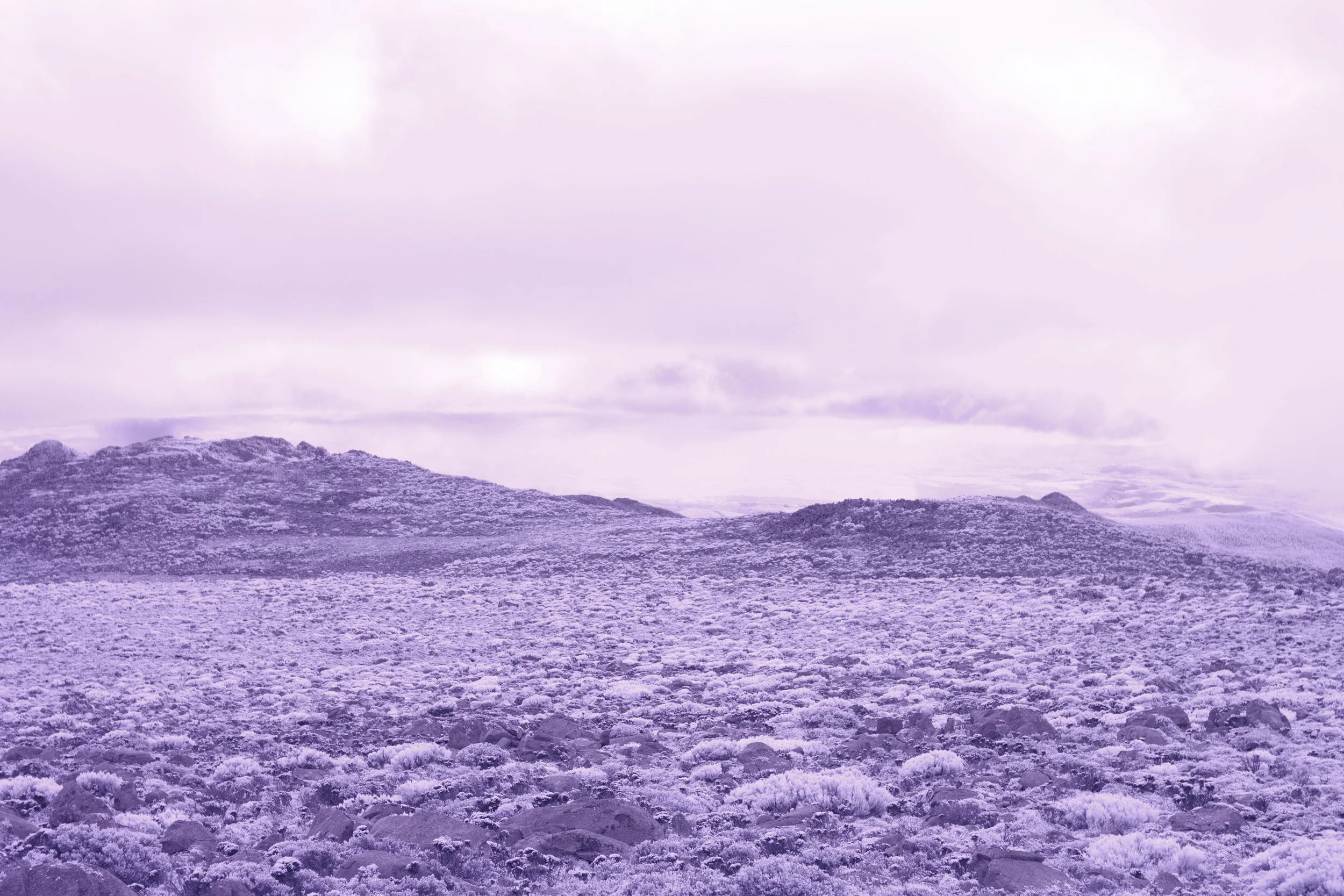 Cut A Silver Path #1