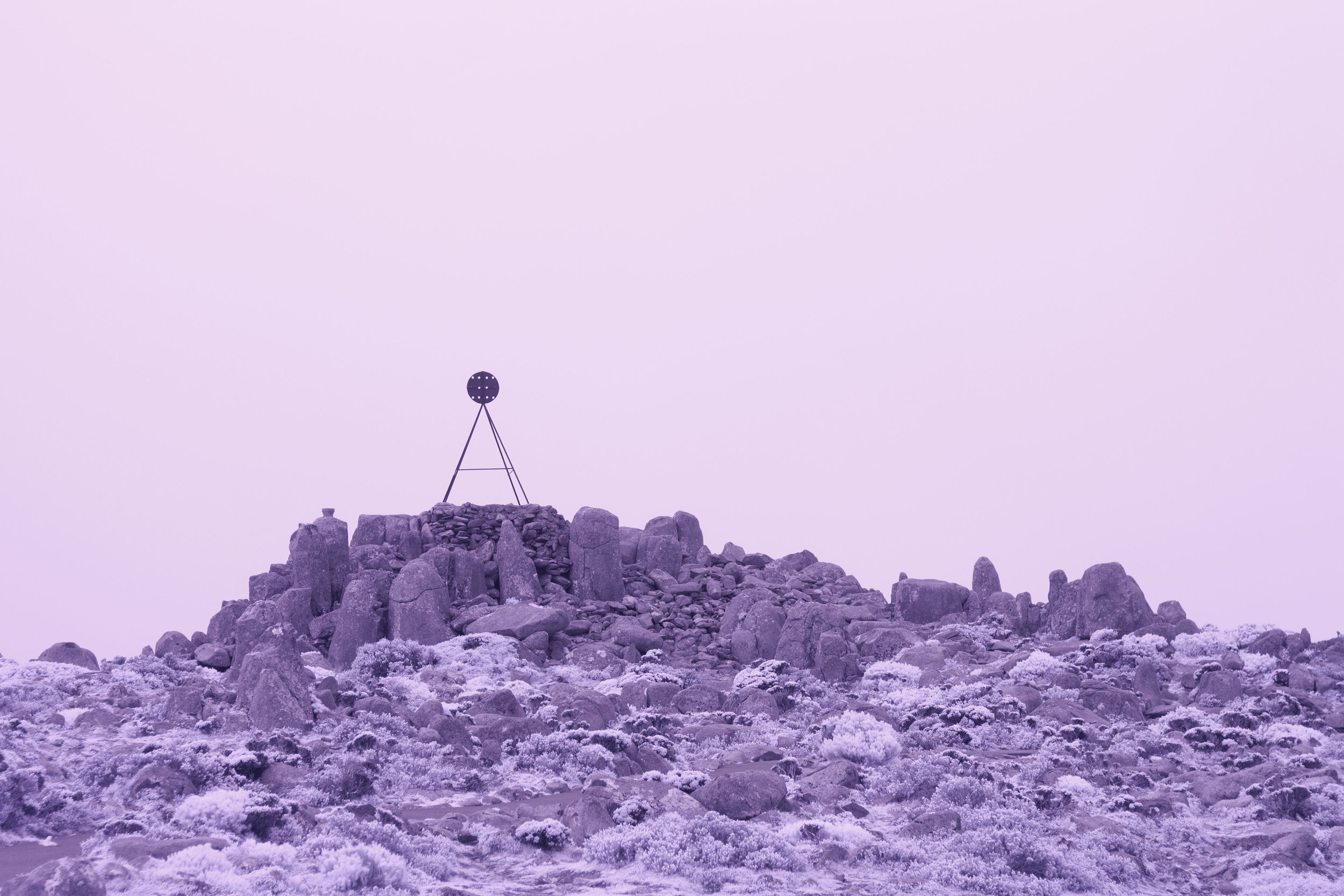  Shelley Webster, Cut A Silver Path #3,, 2016 