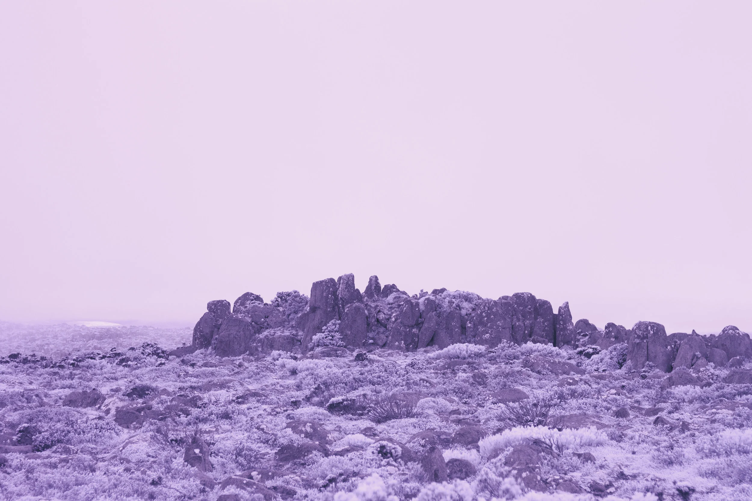  Shelley Webster, Cut A Silver Path #4, 2016 