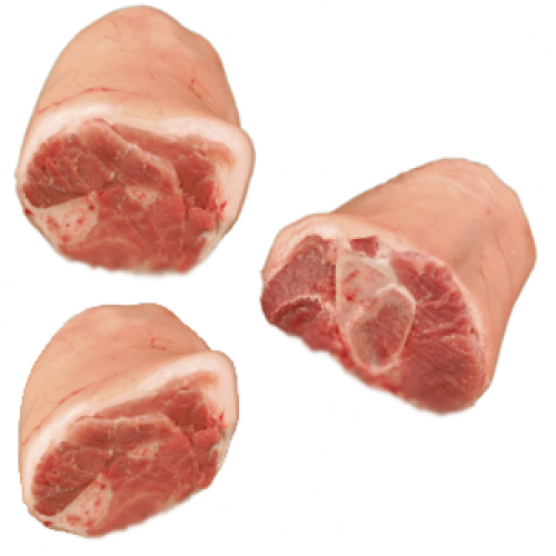hhks-500x500.png