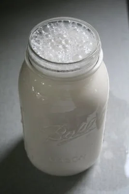 Almond-Milk-Step-by-Step-and-Sam-099web.jpg