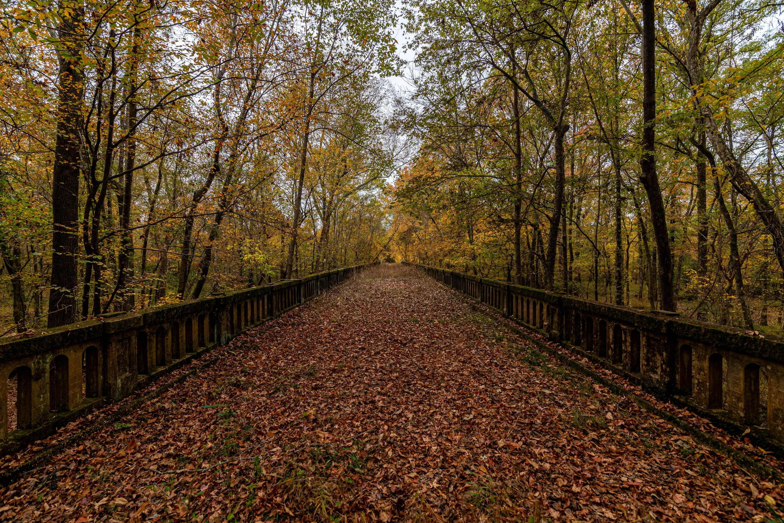 Oblivion-Fall Color.jpg