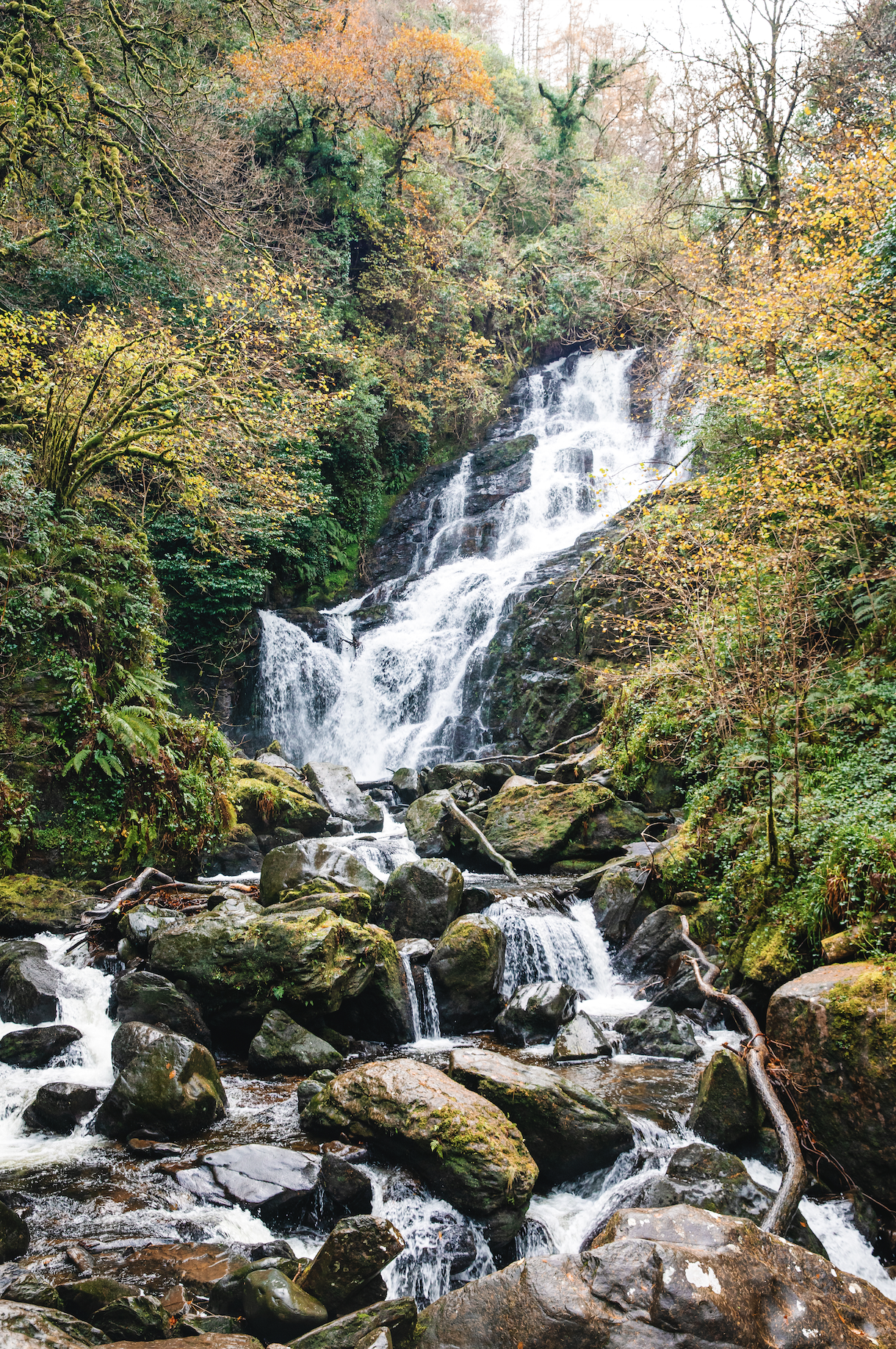 Screenshot 2023-03-17 at 12.27.38 PM.png