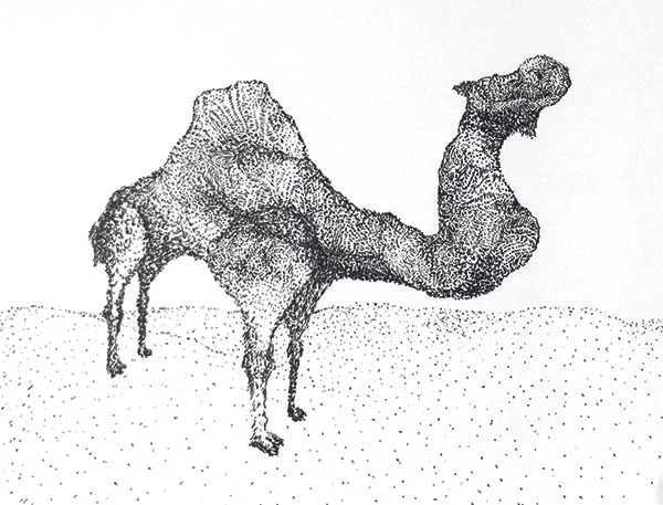 camel card.jpg