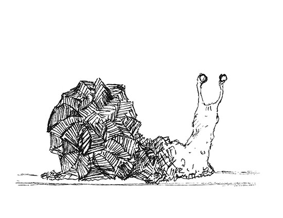 snail web .jpg