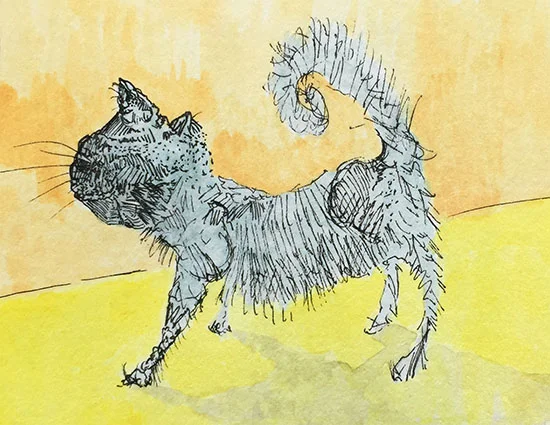 cat web.jpg