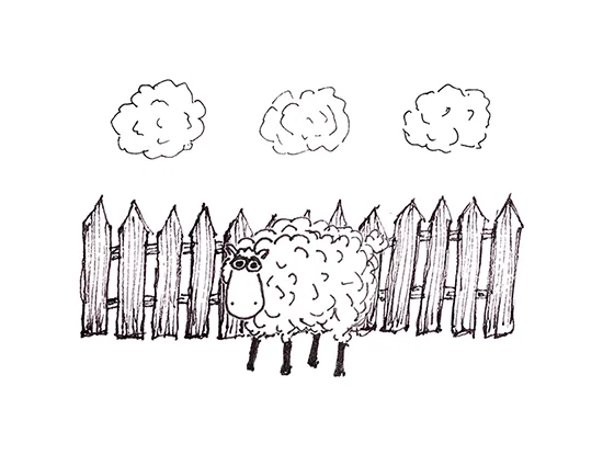 sheep card web.jpg