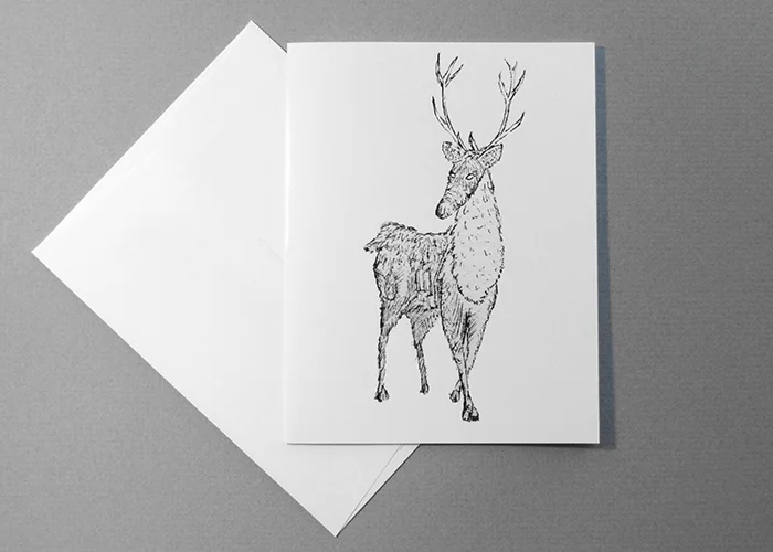 Reindeer env web.jpg