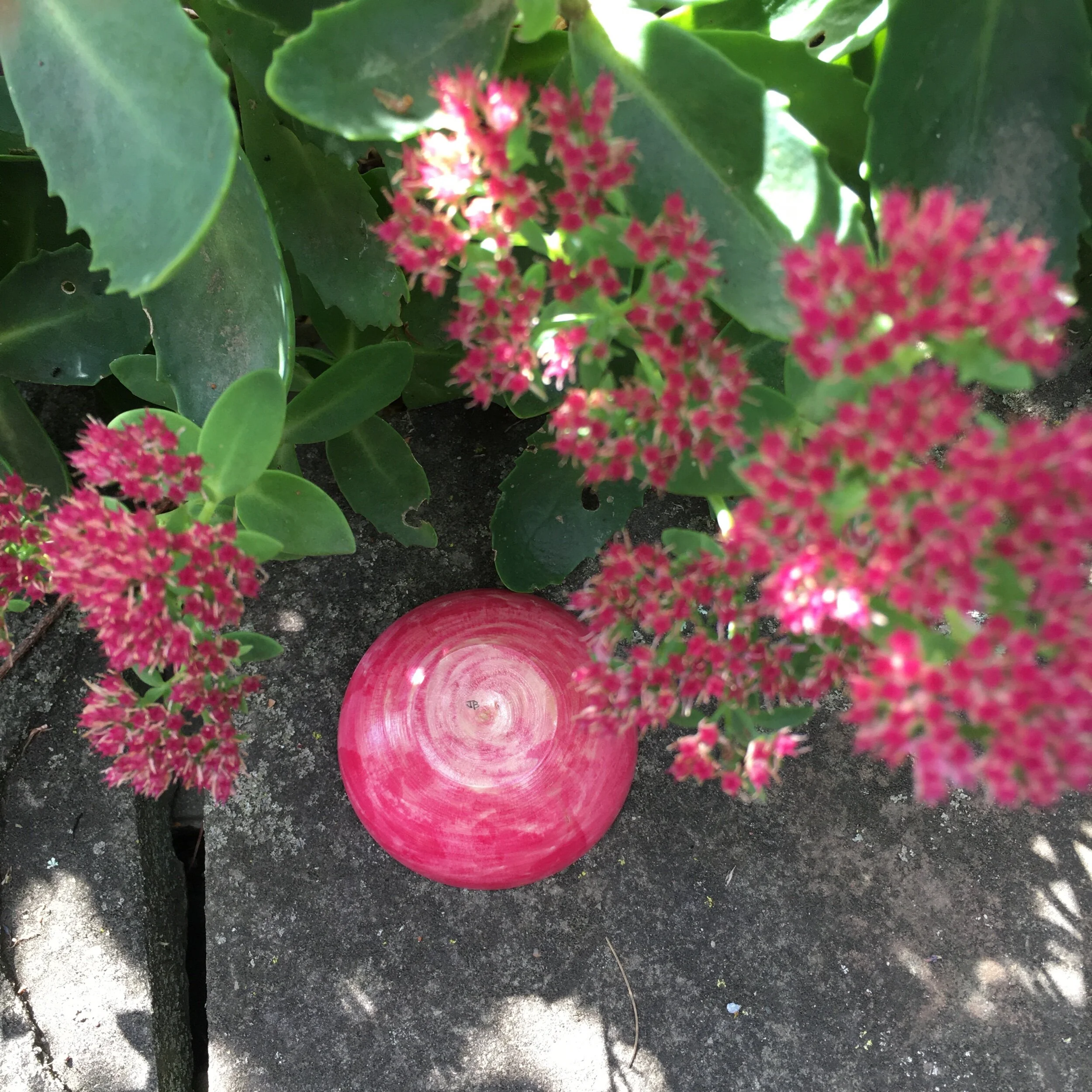 78D1732C-FF3F-4D2F-ABAF-D02D528E9F60