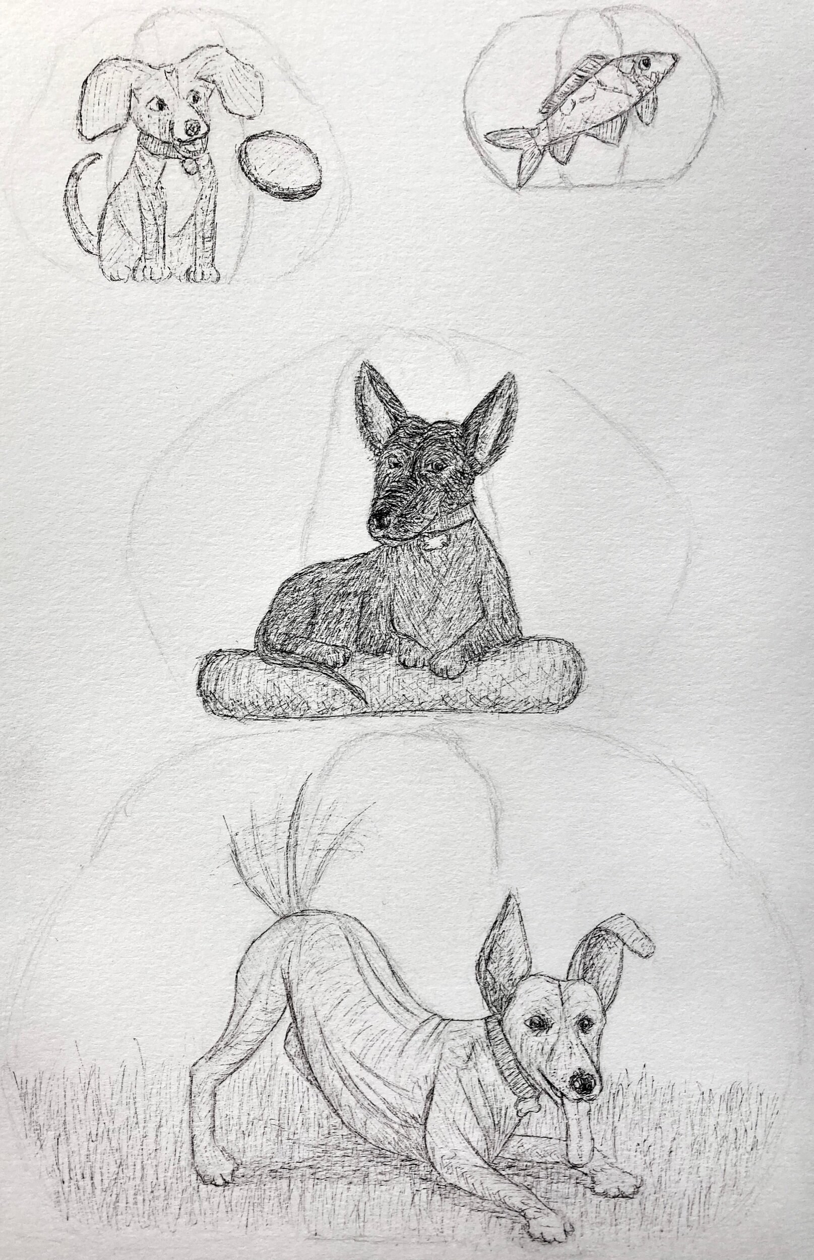 EABA5E96-DA60-463F-BAFD-8EEE4A799E2E