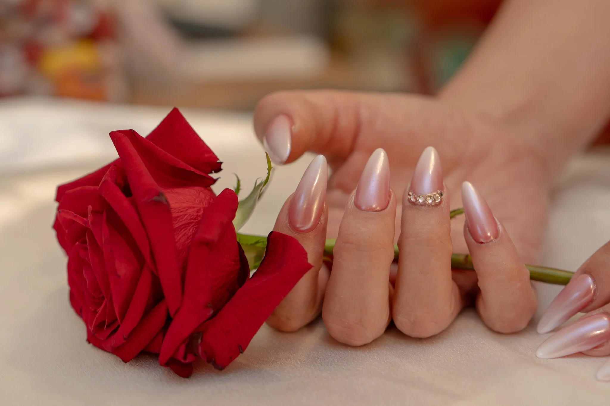Close-up of a hand with long, metallic, light pink nails holding a red rose. The hand has a ring with small pearls on the ring finger. The background is blurry.