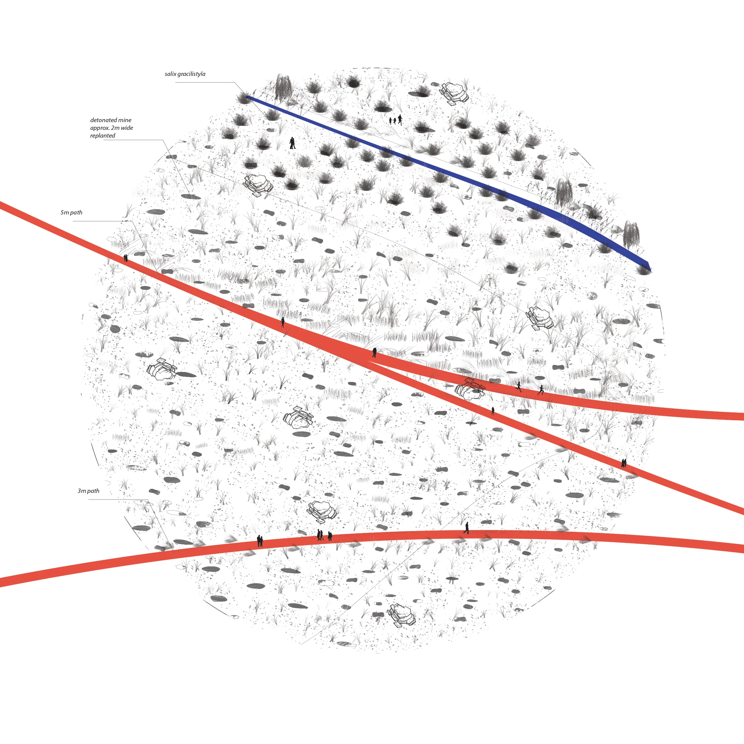 Axon 3_labeled.jpg