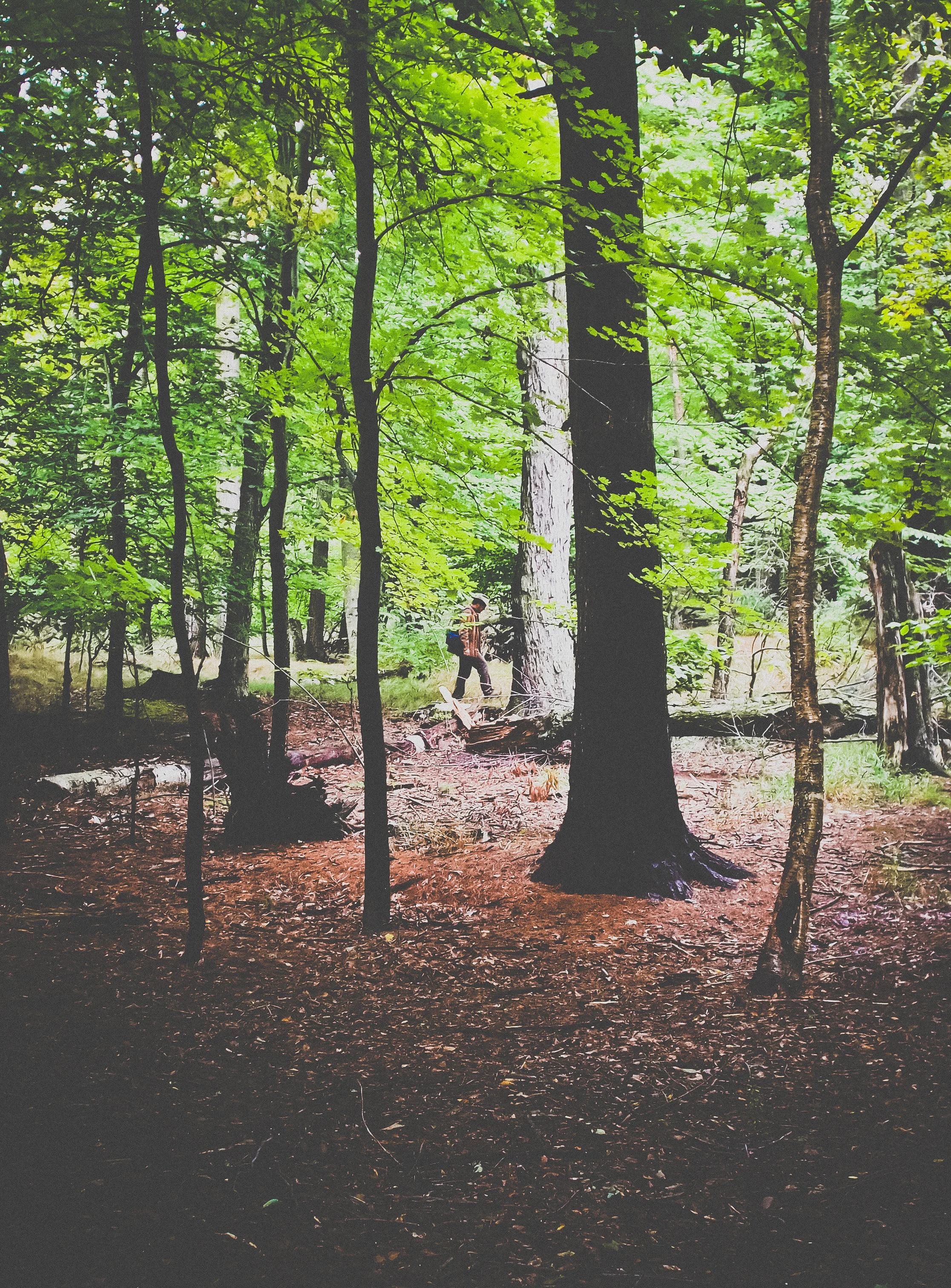 Faded Camp Shots (11 of 17).jpg