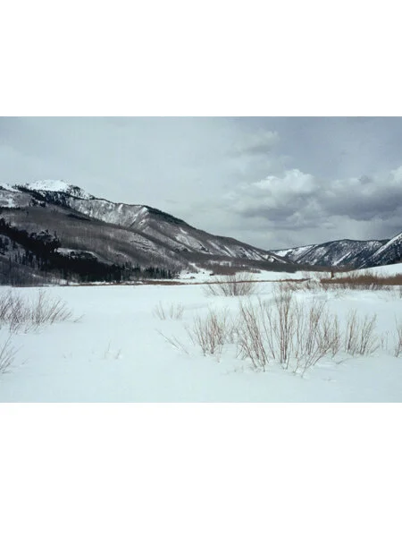 Aspen.Hill.jpg