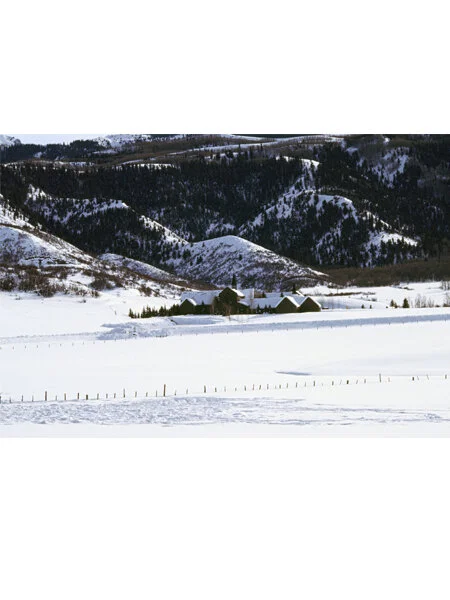 Aspen.plaing.jpg