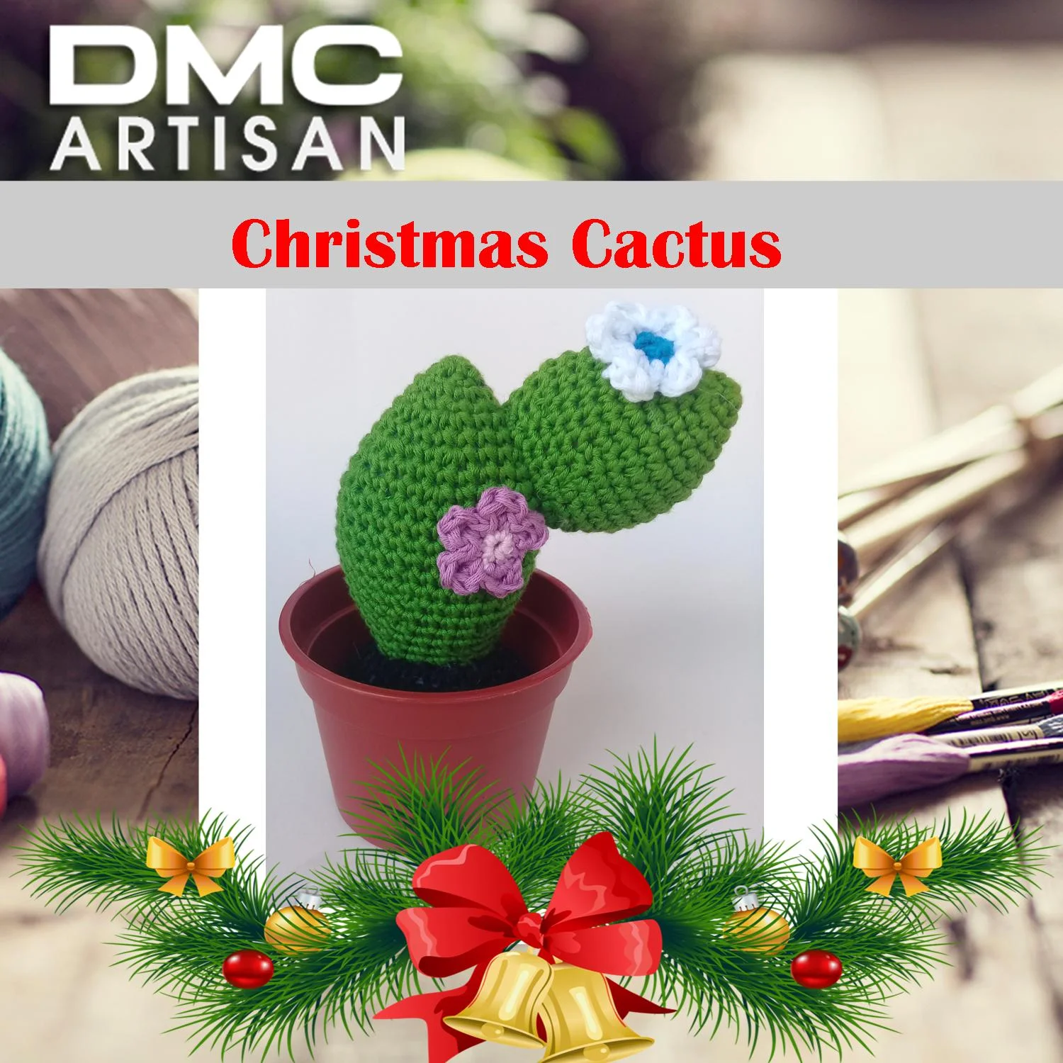 Cactus.jpg
