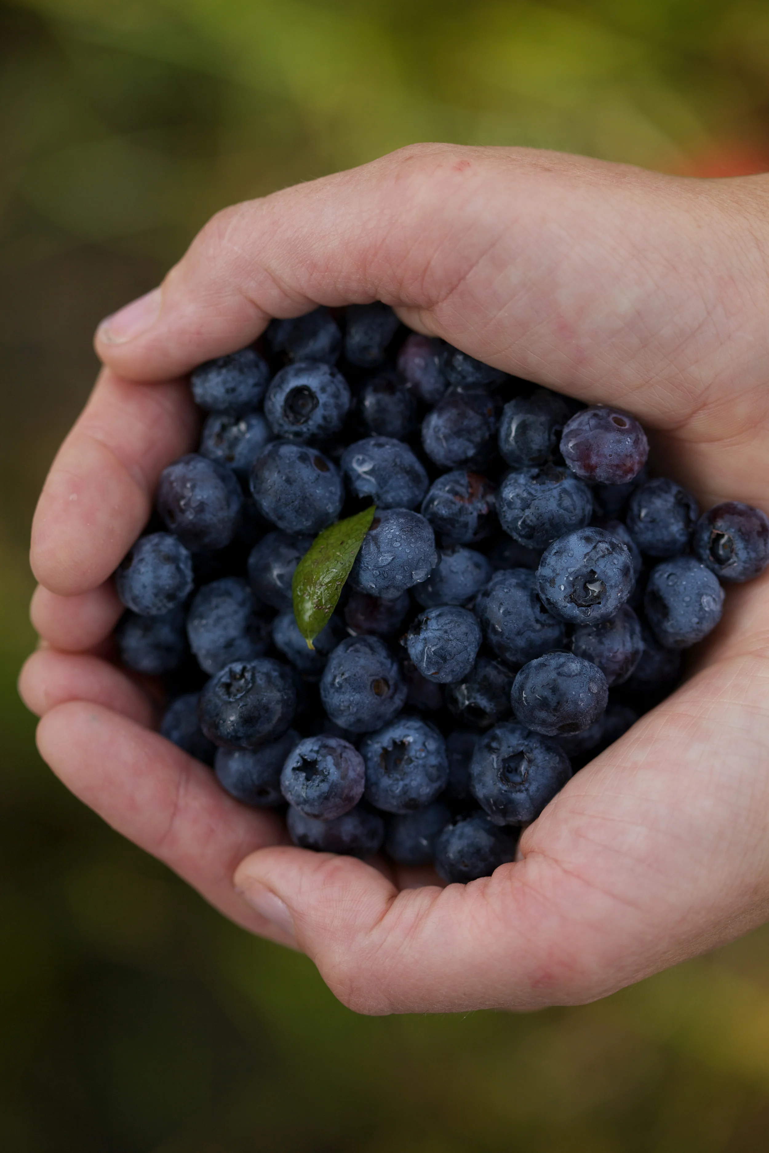 Baker and Spice - The Bakery01848.JPG