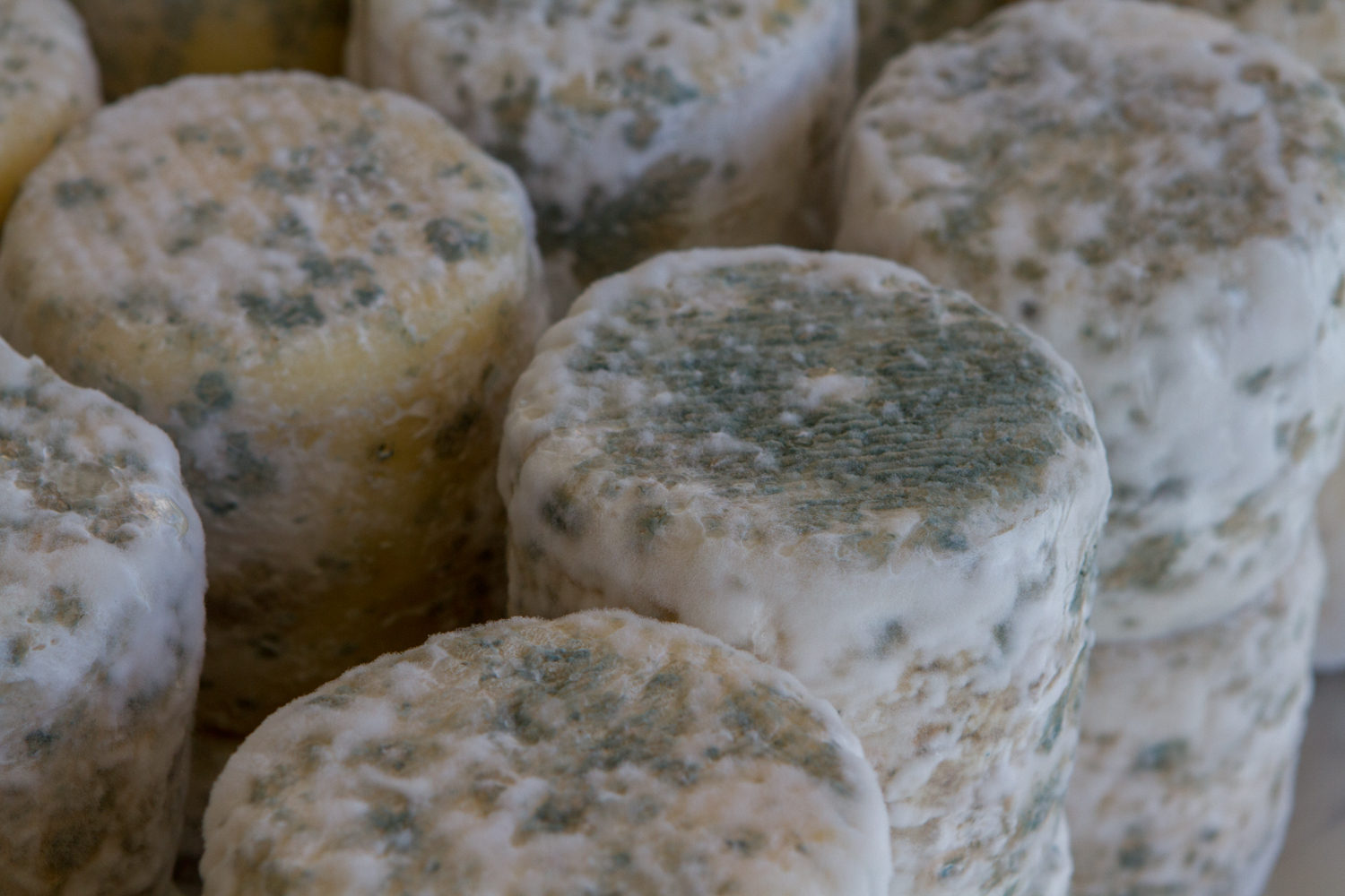 Ancient Heritage Cheese — Alan Weiner Photography