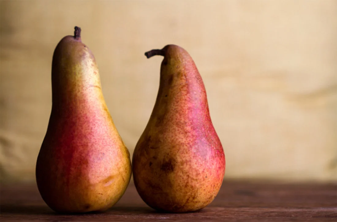 Pair of Pears