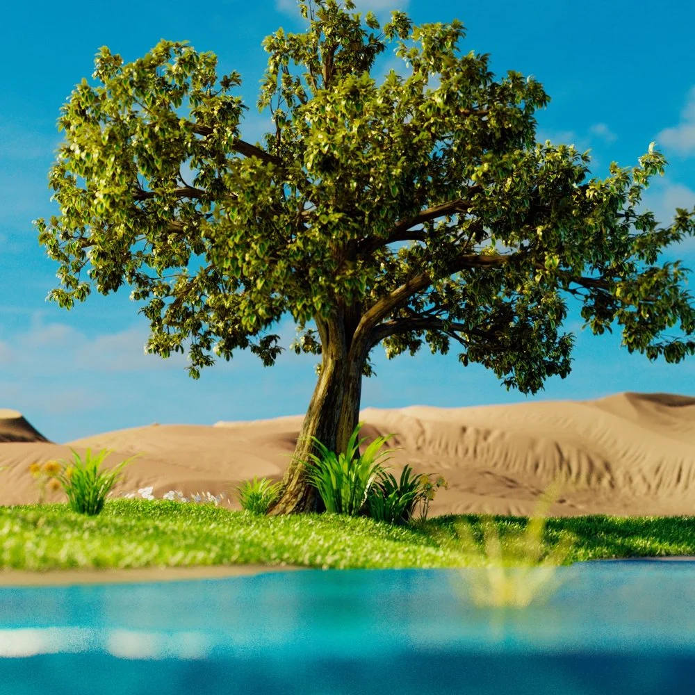 TAIAO_oasis.jpg