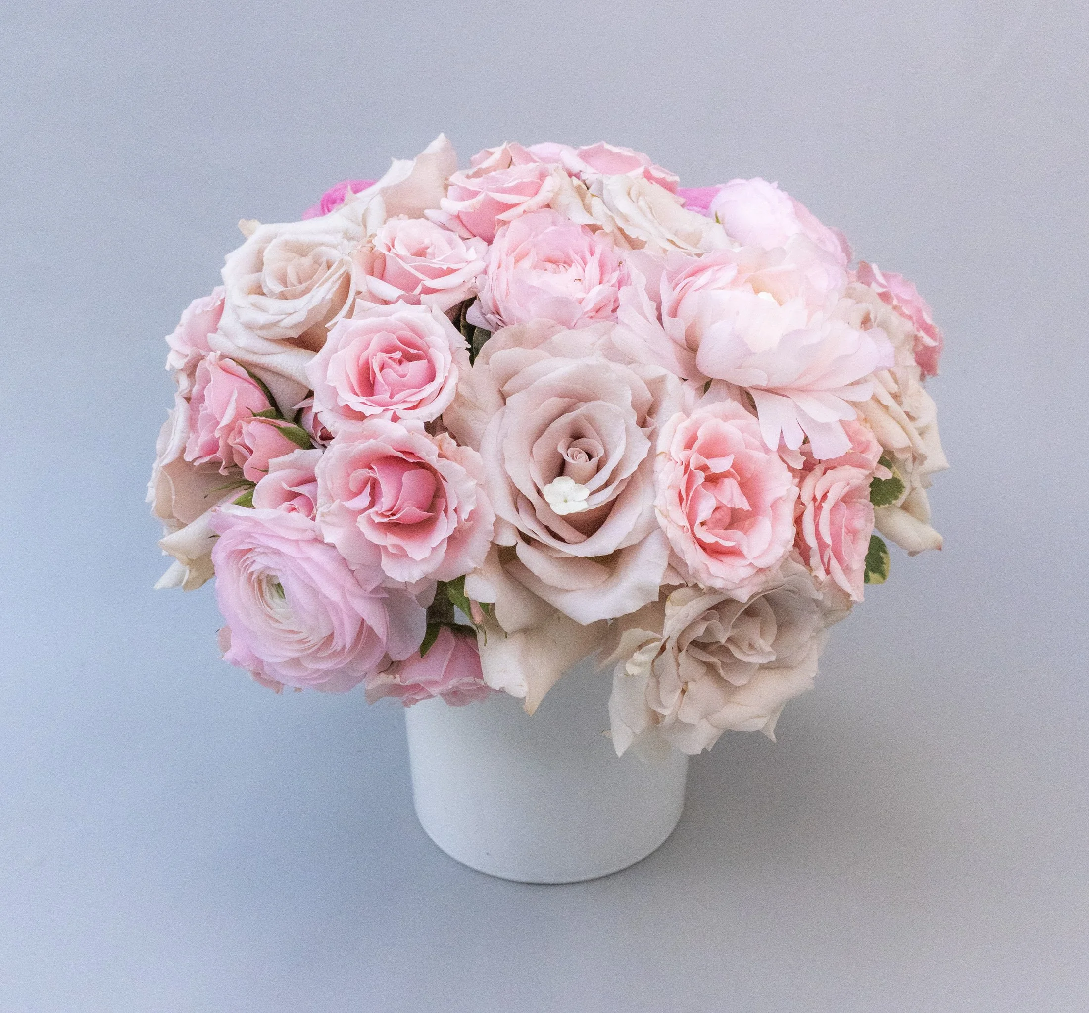 Blush