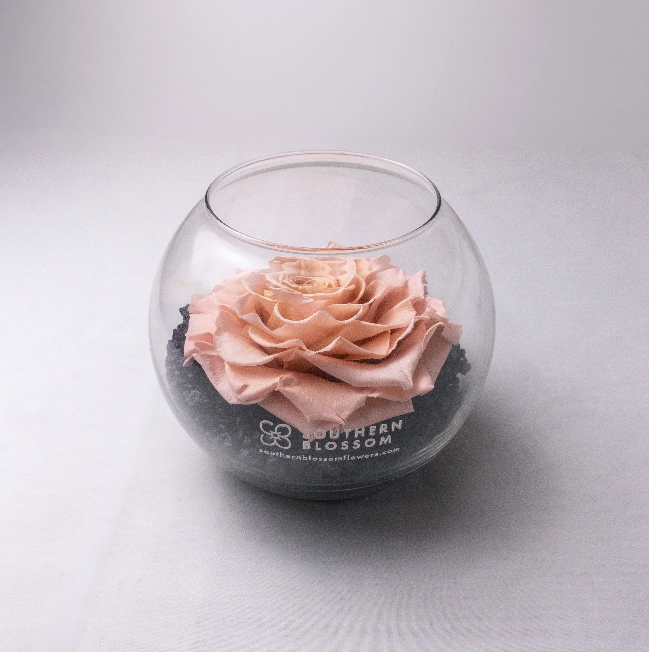 Forever Preserved Rose