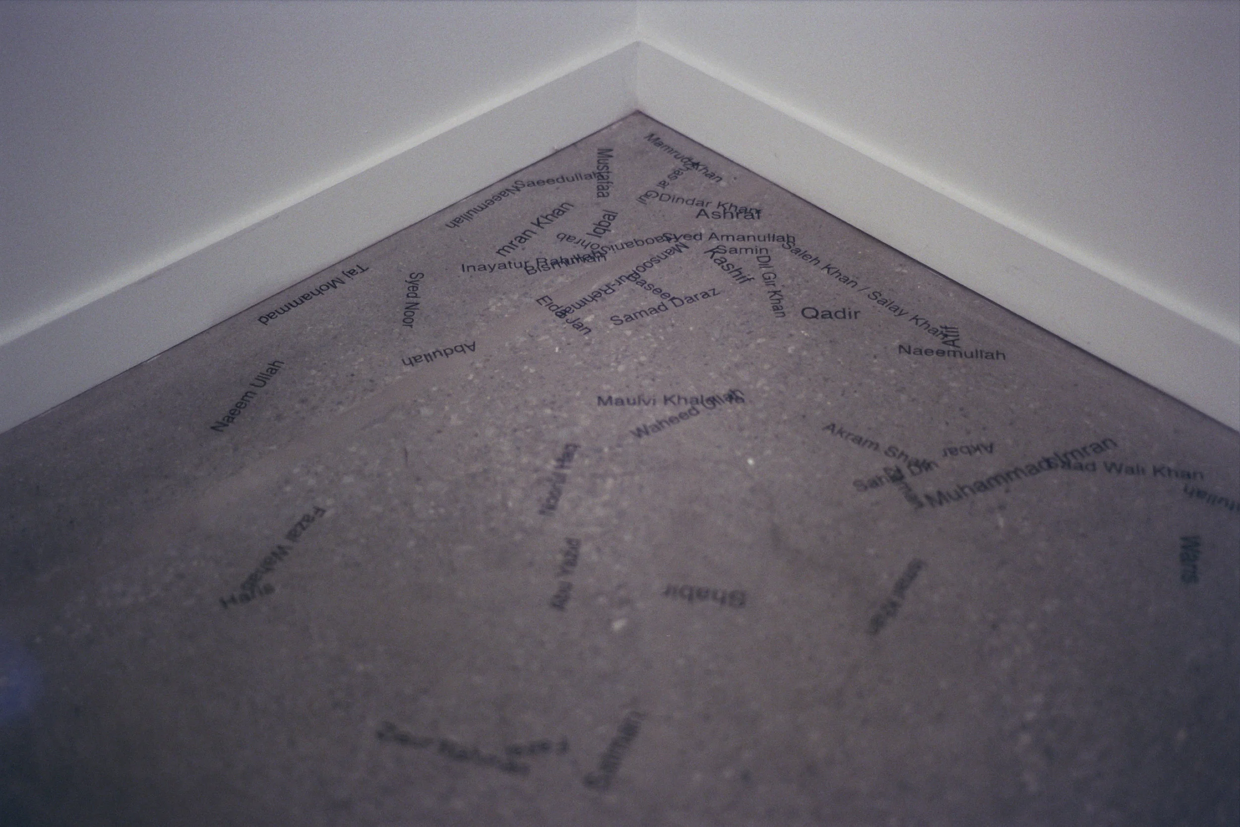 image7.jpeg