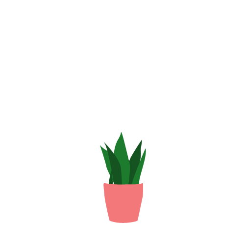 Sansevieria