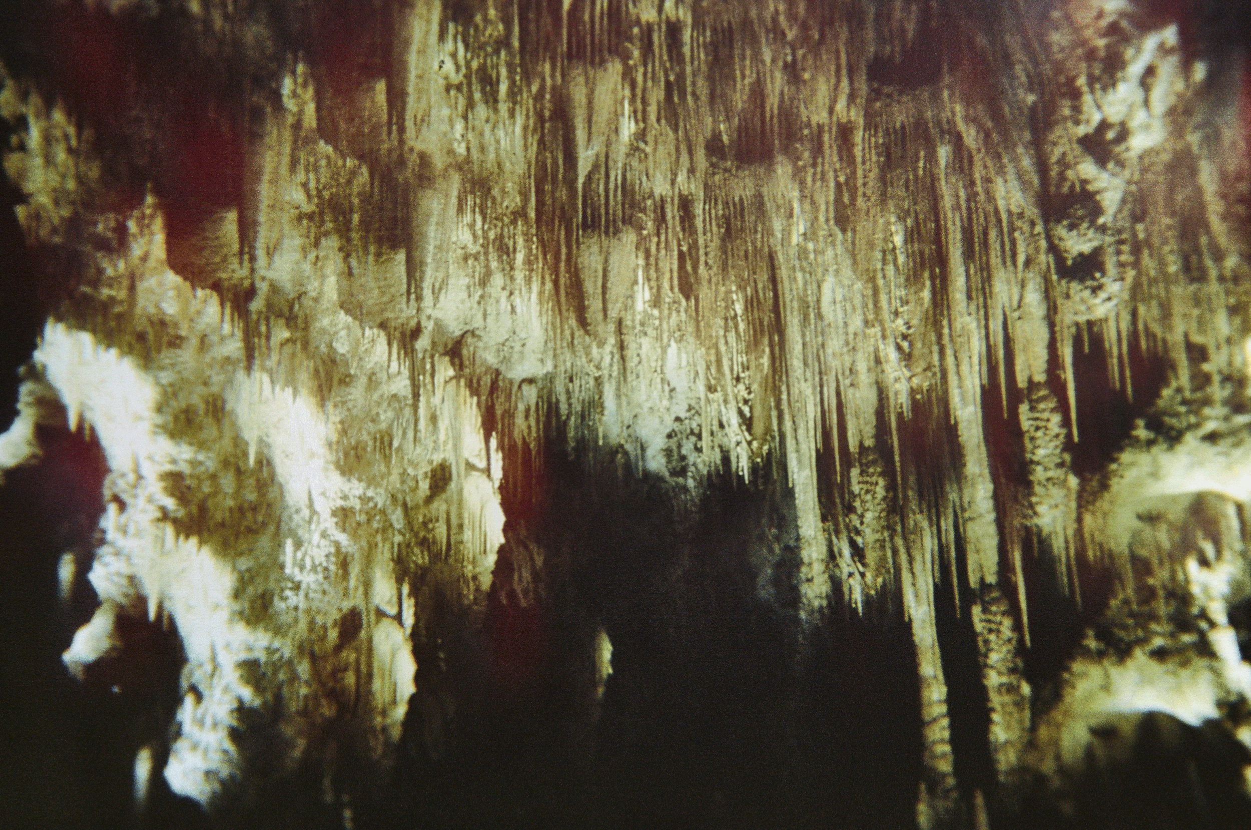 Carlsbad_Caverns_3_(neg_34).gif
