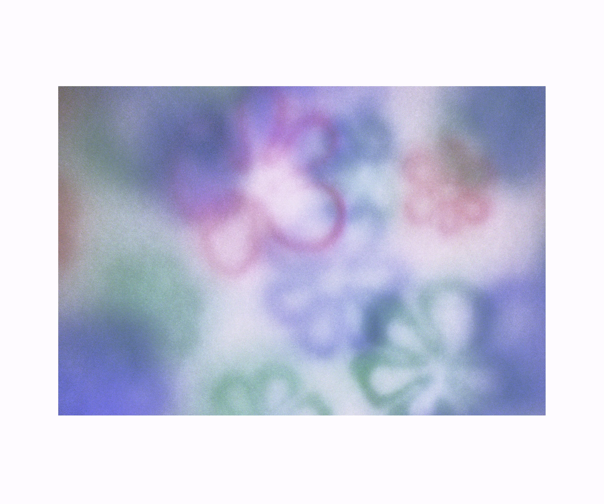 Sean_Graham_New_Logo_FLOWERS_ALONE.jpg