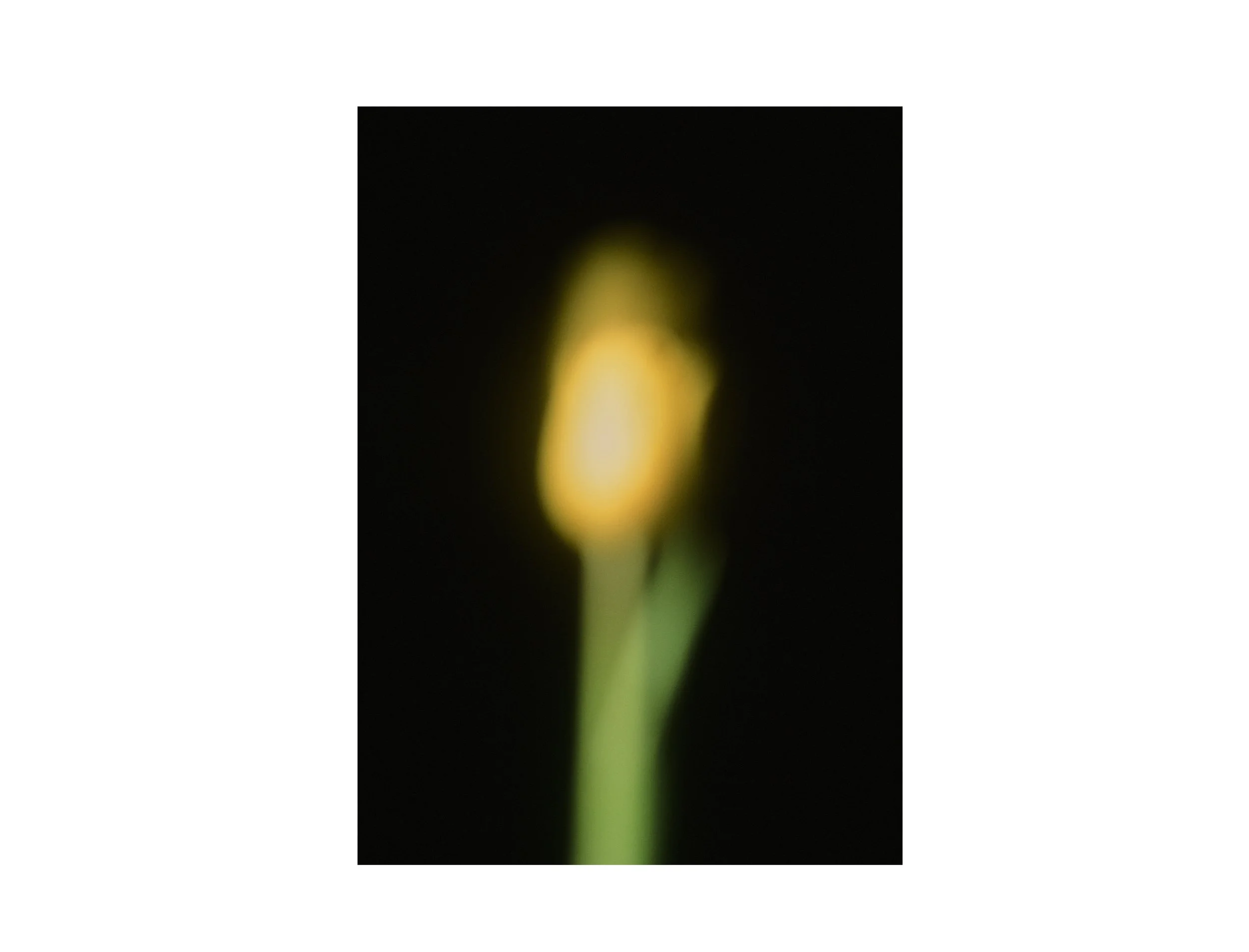 Sean_Gallery_blank_Blurred.jpg