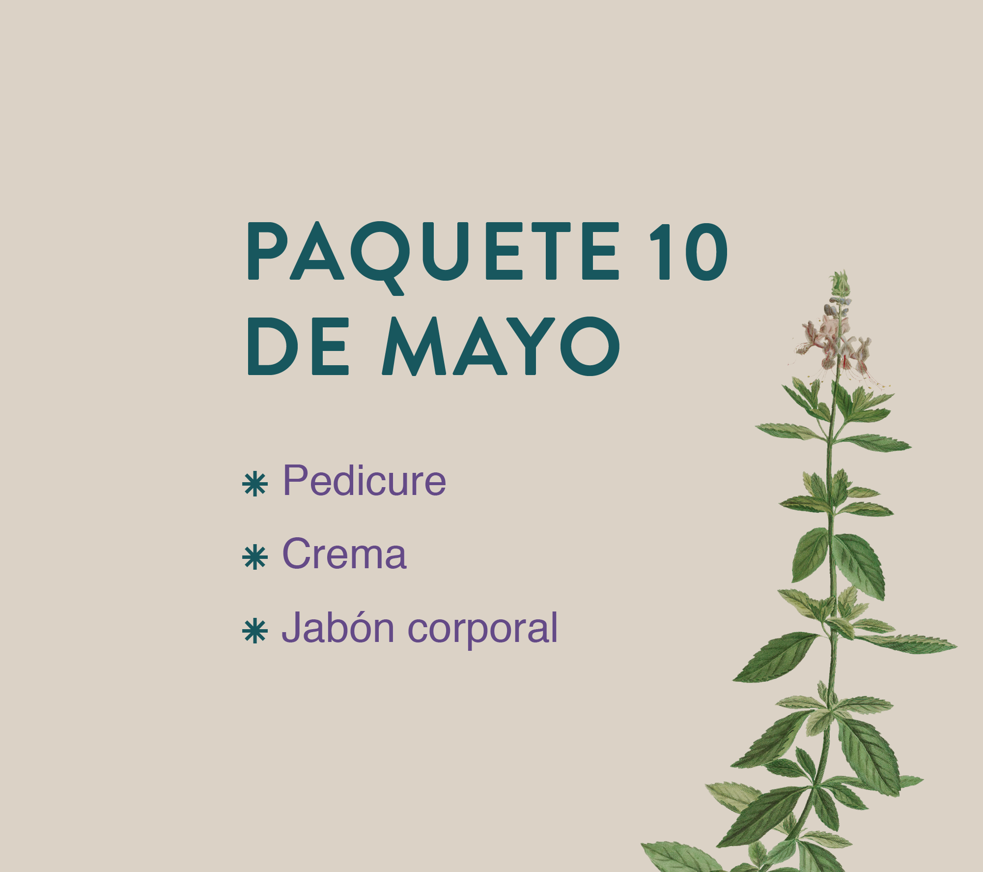 Gift cards_10 de Mayo-04.png