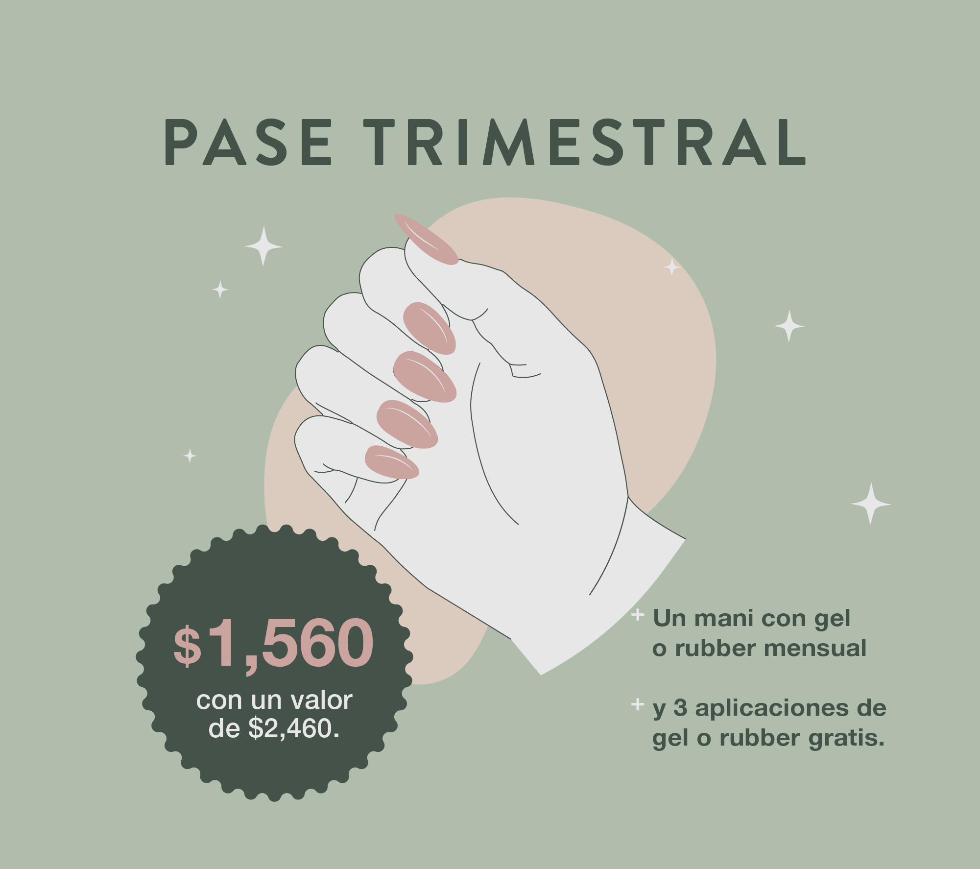 Website_Pase Trimestral-01.png