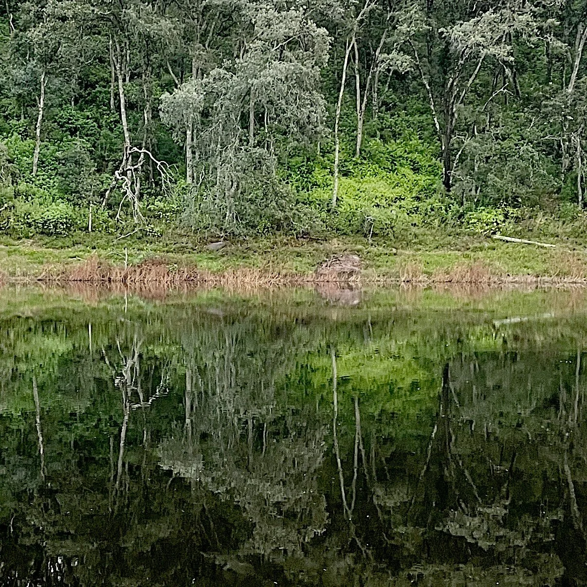 along the nile (nuerland)