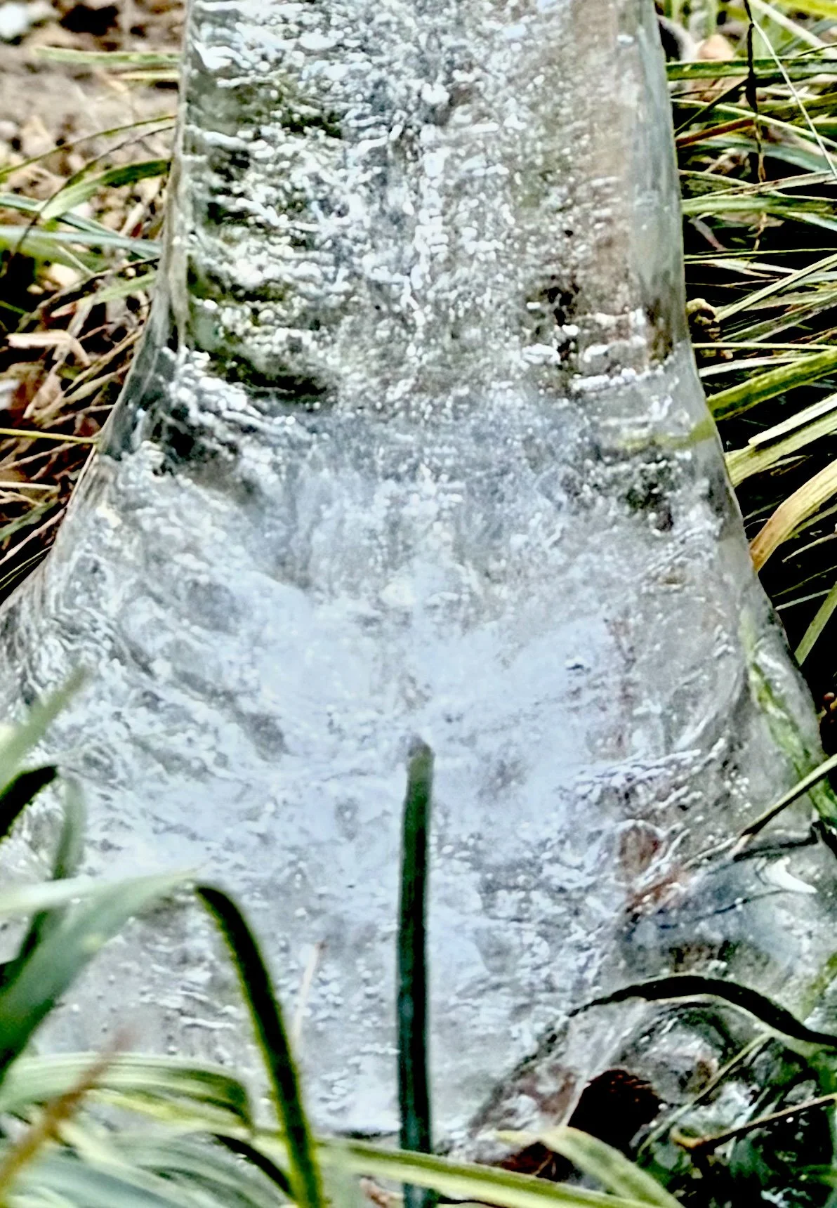 (no ice) in my drink