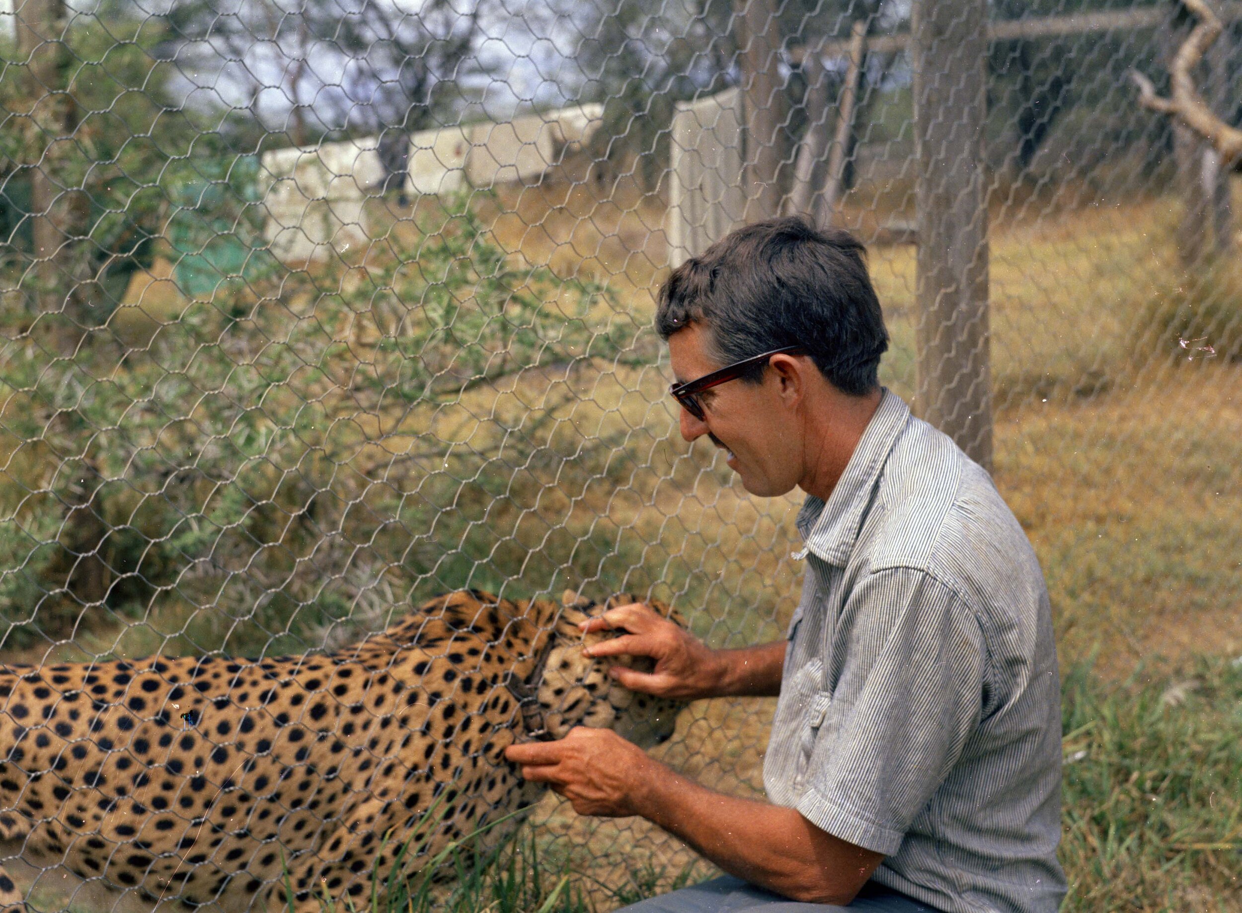 Metz 10 - 1959 - Dick and Cheetah - BB 7 - 96 M.jpg