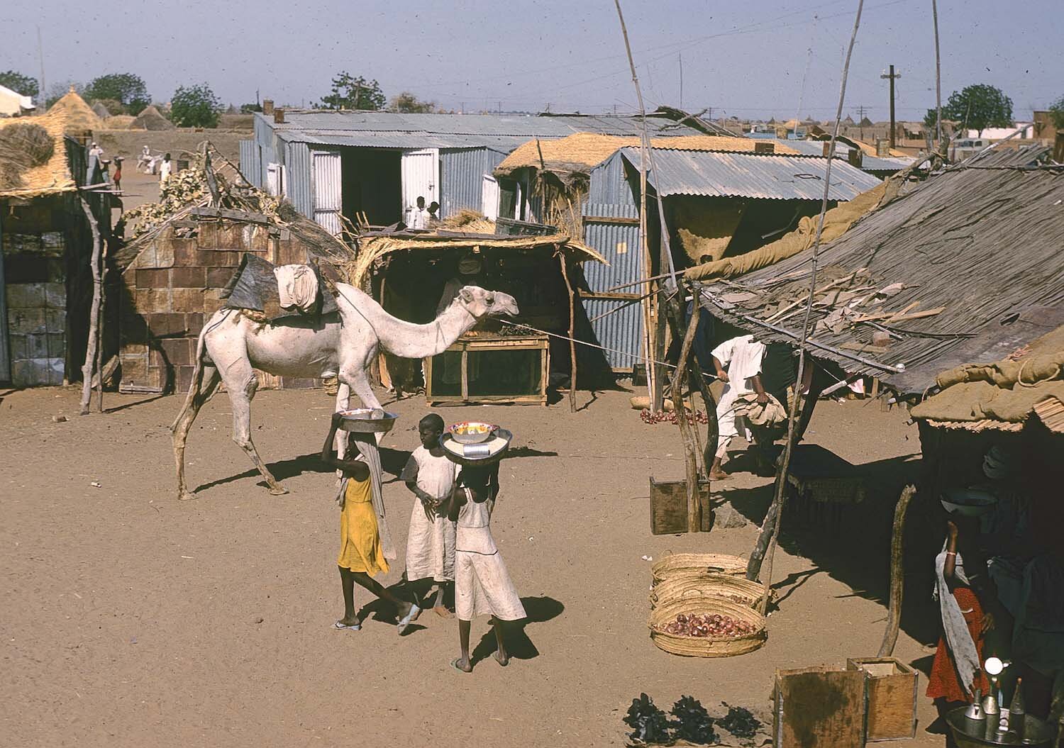 Metz 10 - 1961 - Camel and village - Metz97 - 8 M.jpg